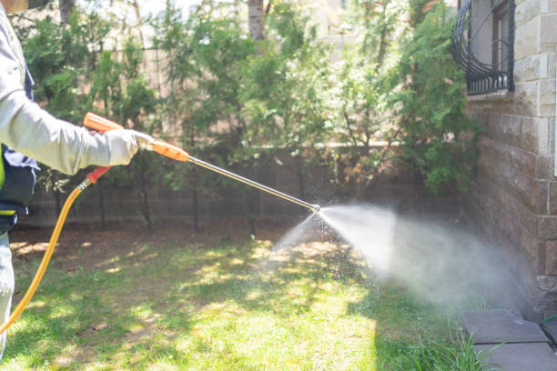 Best Lawn Pest Control  in North Plainfield, NJ